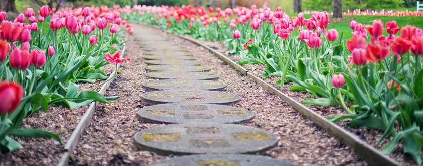 This summer, don’t leave your flowerbeds looking ho-hum. Check out these 5 gorgeous garden walkway ideas: